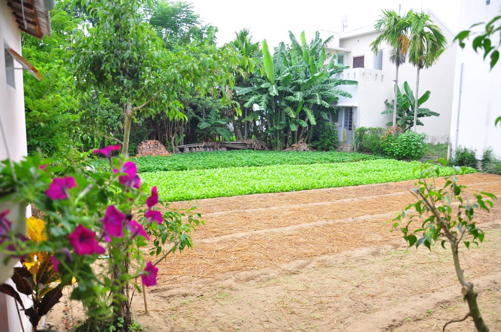 Petunia Garden Homestay Guest House - photo 6