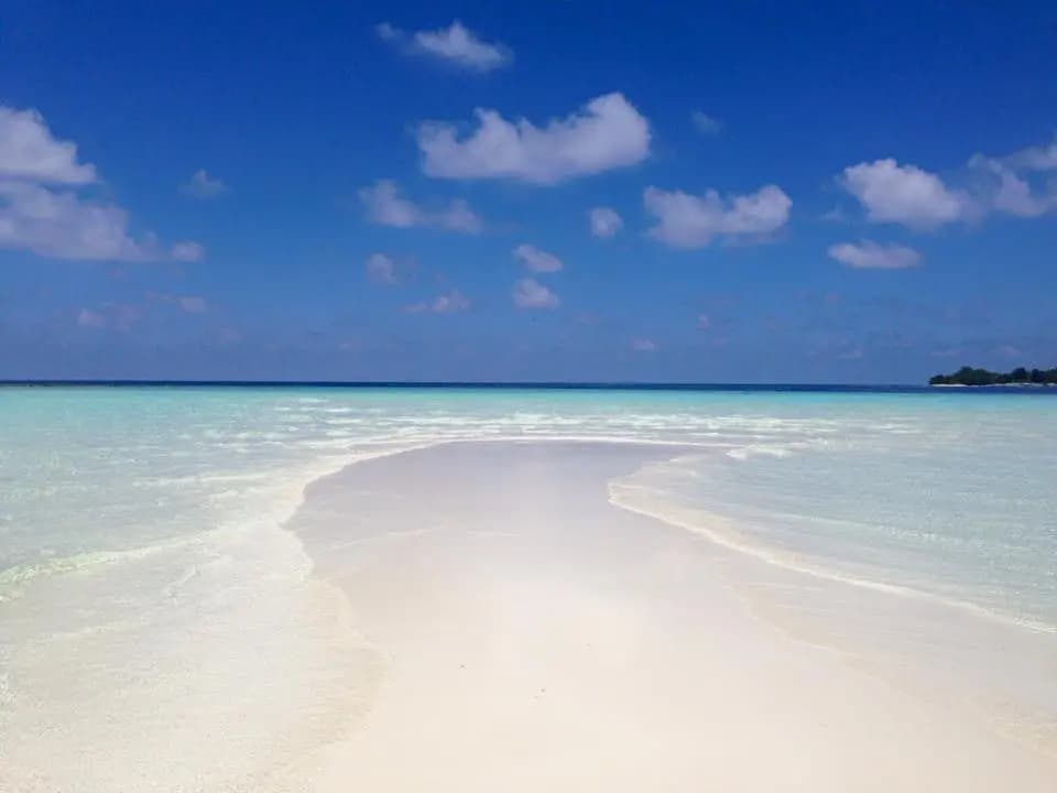 Holiday Grand Maldives Guest House - photo 10