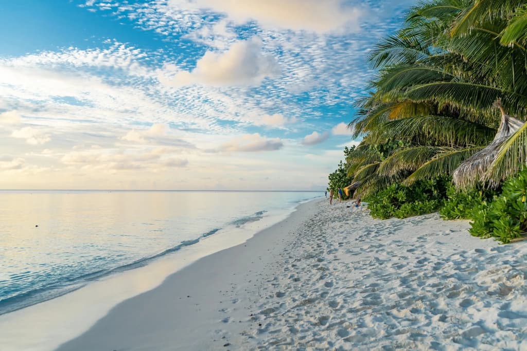 West Sands Ukulhas Guest House - photo 44