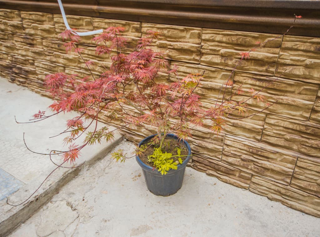 Hotel Qvevri - photo 6