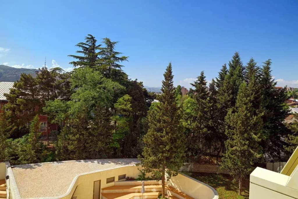 Sheraton Grand Tbilisi Metechi Palace Hotel - photo 42