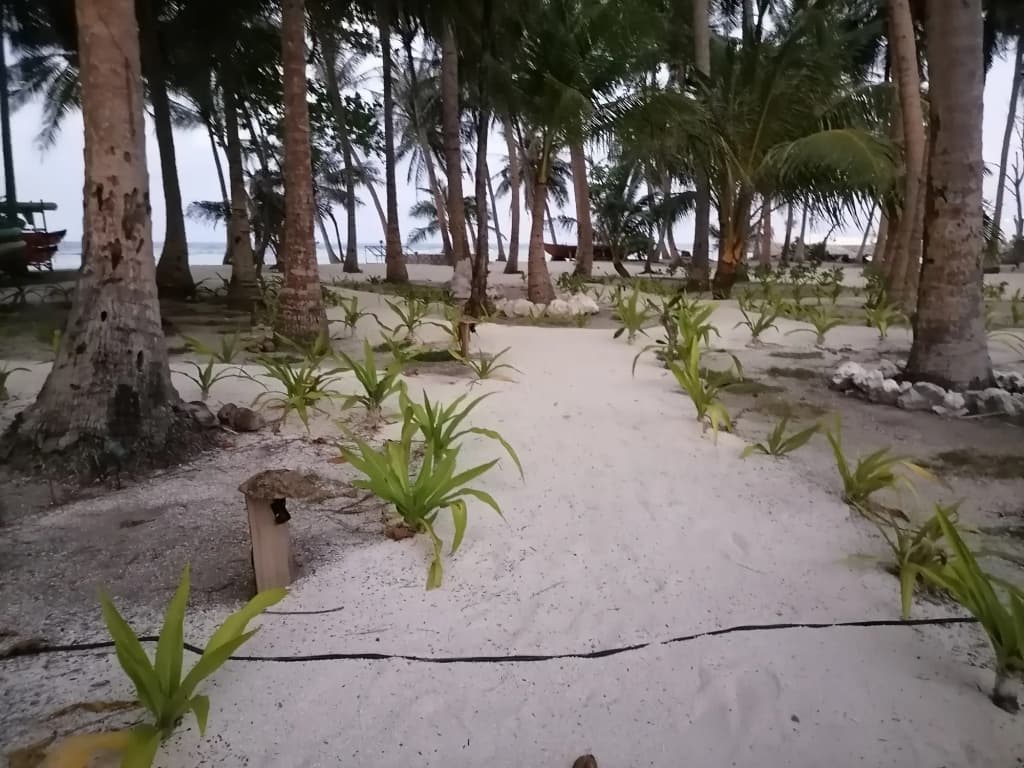 Island Luxury Boutique Hotel, Fulhadhoo - photo 4