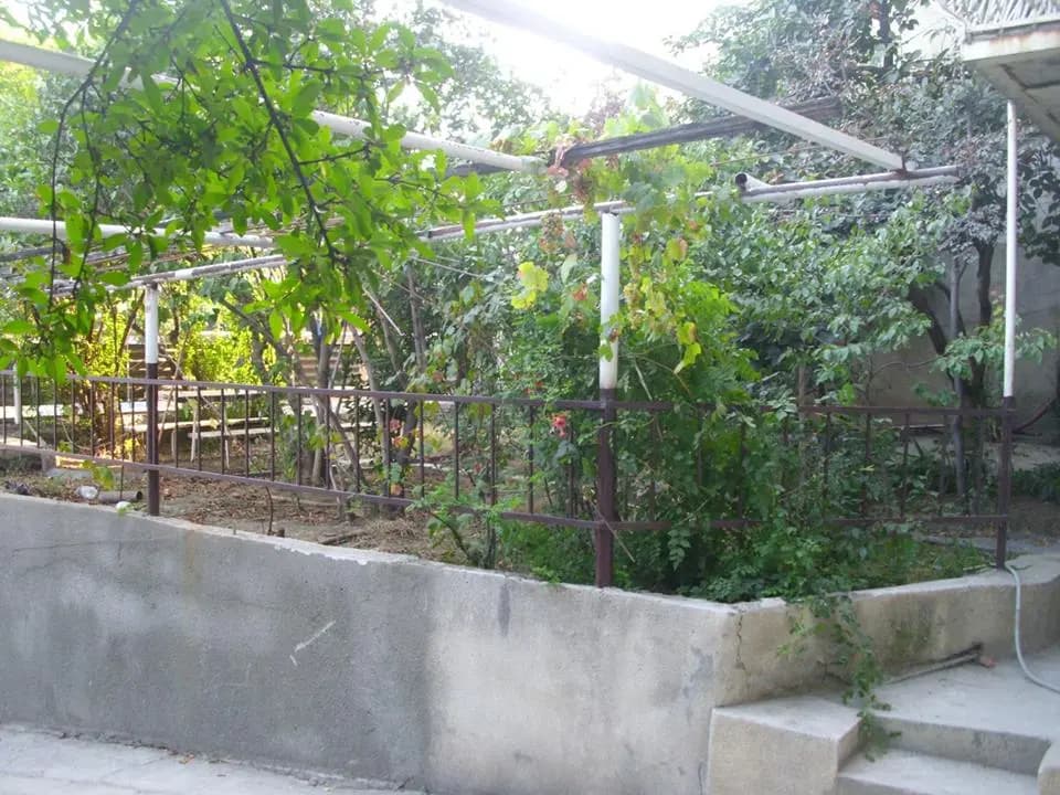 Nita Hotel - photo 7