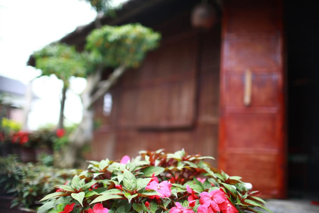 Petunia Garden Homestay Guest House - photo 2