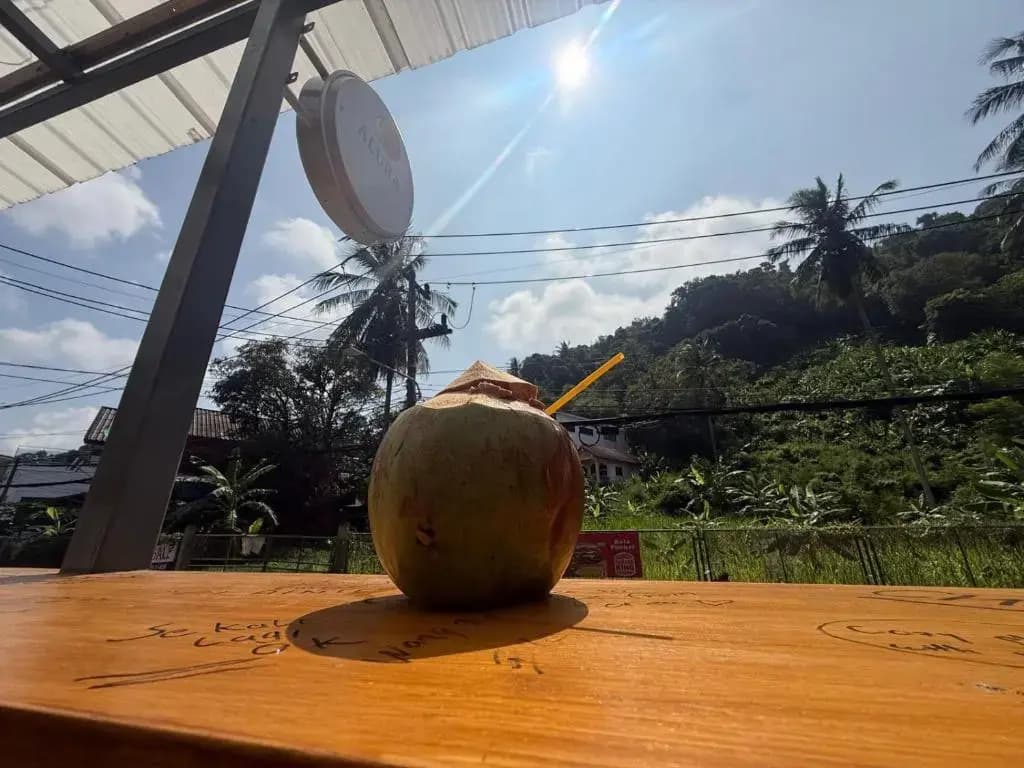 Alura Guesthouse Kata Beach - photo 24
