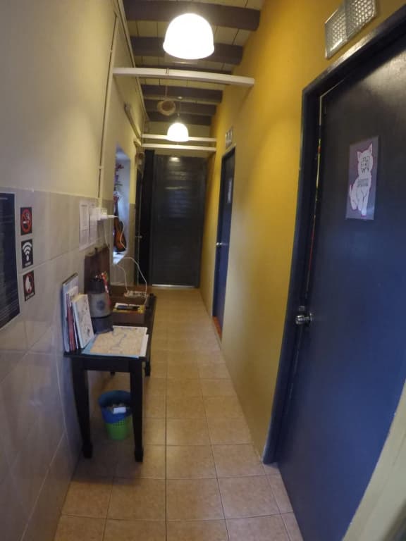 Quiik Cat Mini-Hotel - photo 12