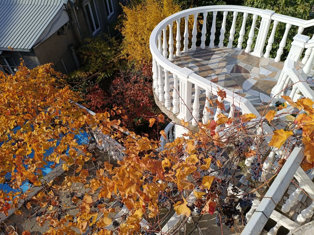 Eco-friendly Why Me Tbilisi Guest House - photo 2