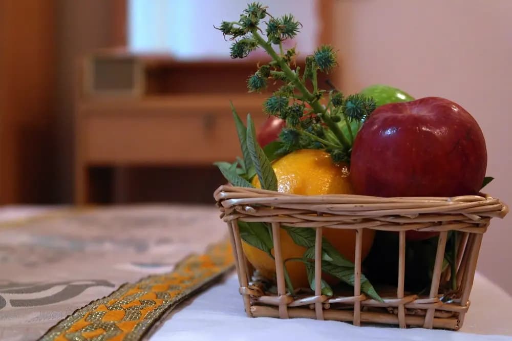 Koimala Guest House - photo 24