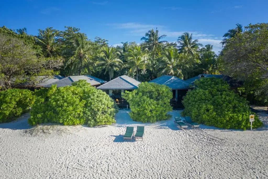 Royal Island Resort & Spa - photo 8
