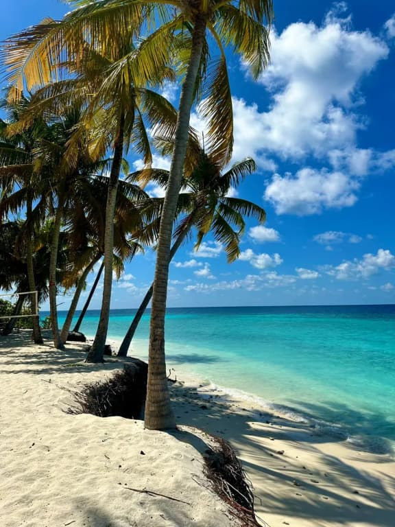 Oceana Surf Maldives Hotel - photo 12