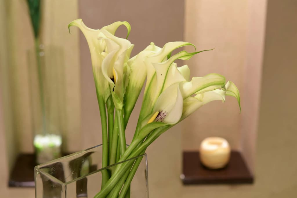 Radisson Blu Hotel Cairo Heliopolis - photo 32