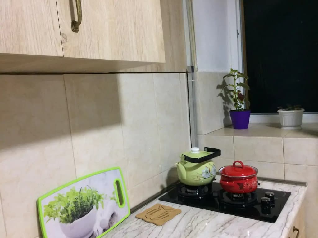 Cat's House Apartments - photo 34