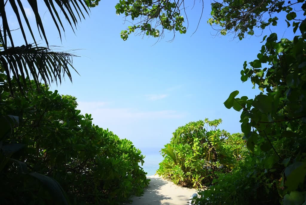 Beach Residence Guest House - photo 9