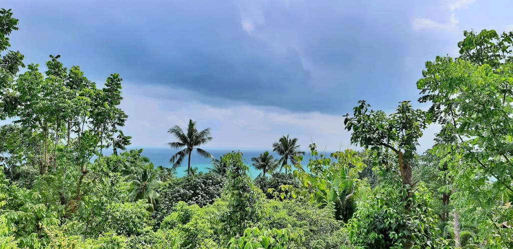 Chaweng Bayview Resort Hotel - photo 41
