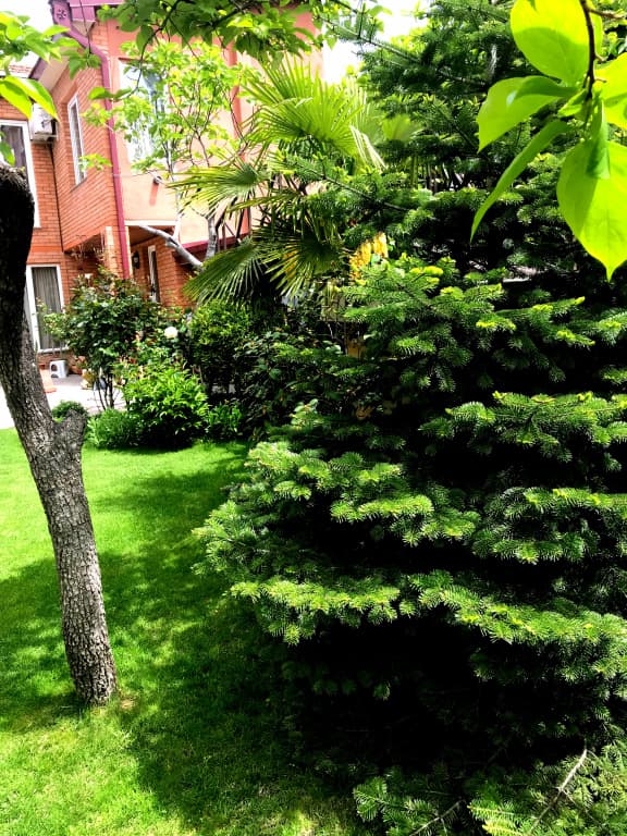 Green Garden Apartments - photo 23