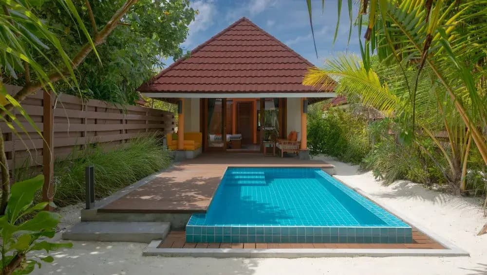 Dhigufaru Island Resort - photo 7