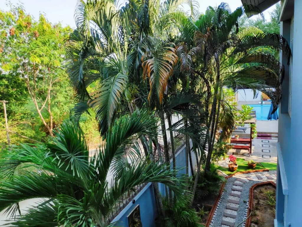 Paradise Villa - photo 10