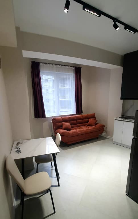Na Beregu Kury Flat - photo 3