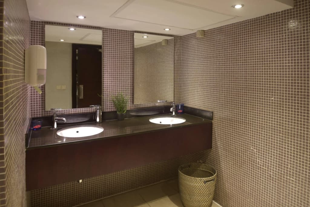 Radisson Blu Hotel Cairo Heliopolis - photo 8