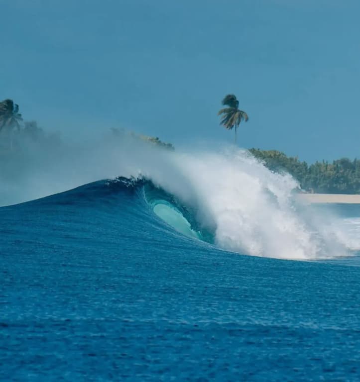 The Maverick Surf and Dive Resort - photo 7