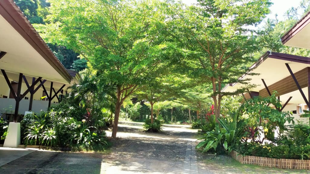 Siva Buri Resort - photo 25