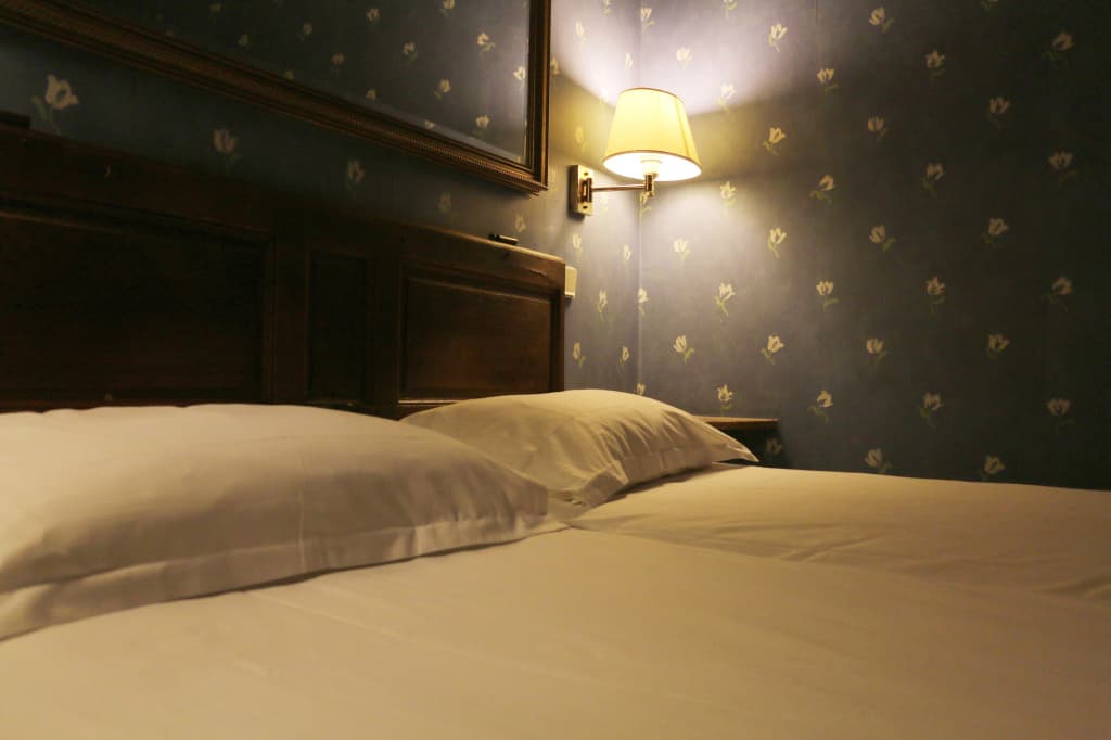 Hôtel du Lys Guest House - photo 3