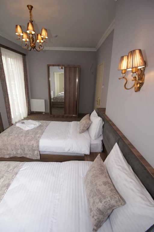 Pushkin Hotel - photo 6