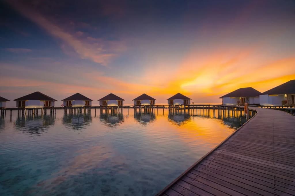 Ellaidhoo Maldives By Cinnamon Hotel - photo 16