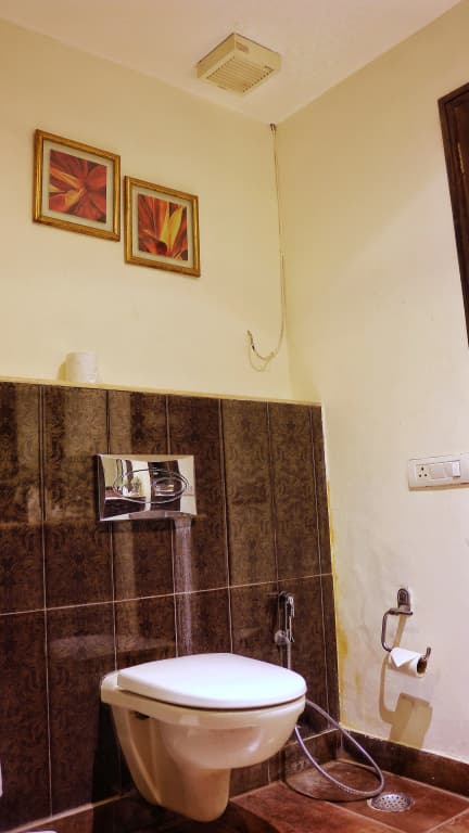 Satvik Resort Hotel - photo 10