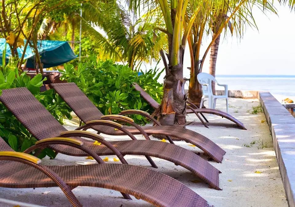 Maldives Holiday Packages Guest house - photo 7