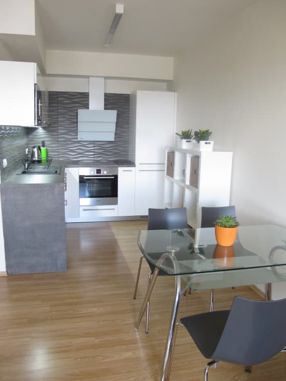 V Doline Apartments - photo 7
