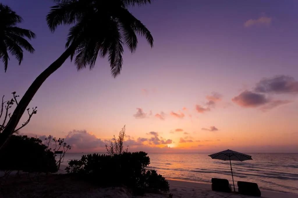 Mo Maldives Hotel - photo 7
