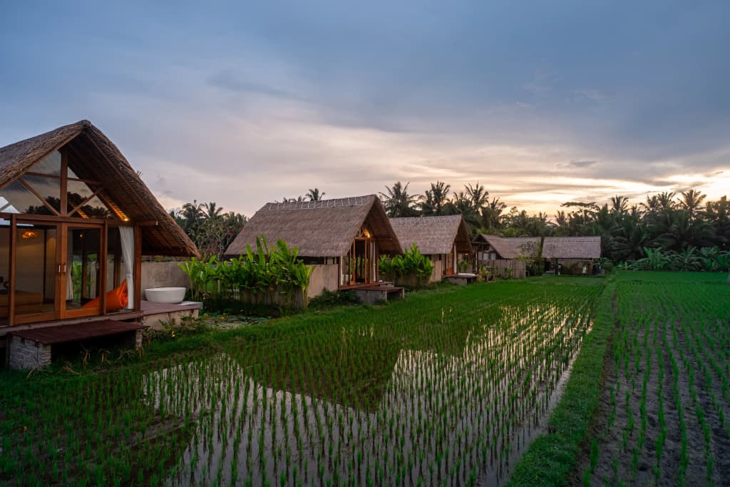 Pondok Mawas Hotel - photo 1