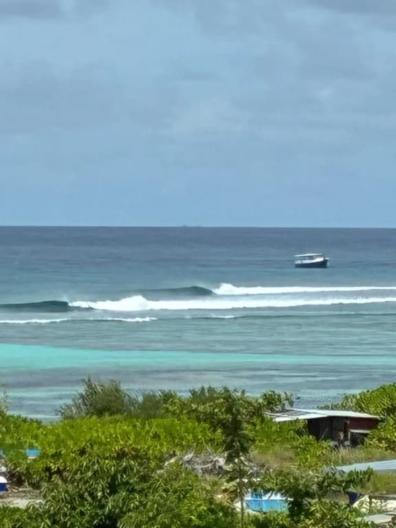 Oceana Surf Maldives Hotel - photo 13