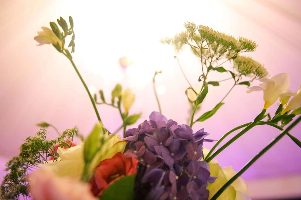 Radisson Blu Hotel Cairo Heliopolis - photo 23