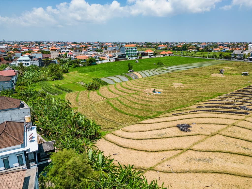 Jungle Amaranth Canggu – Exclusive 3BR Retreat with Pool, Modern Amenities and Top Location Villa - photo 10