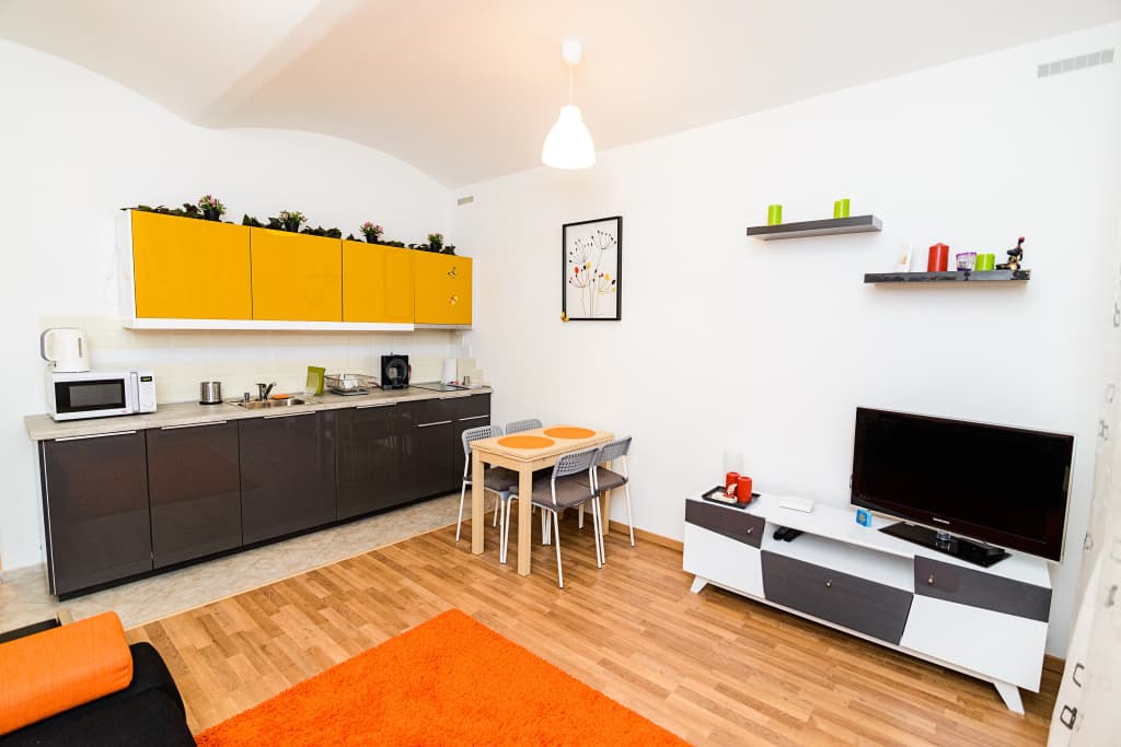 Lower Ground Floor Prague Apartments - photo 5