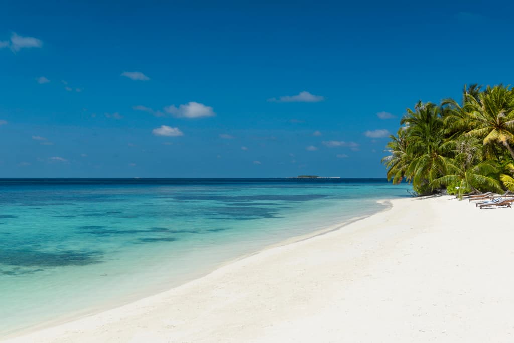 Bandos Maldives Resort - photo 7