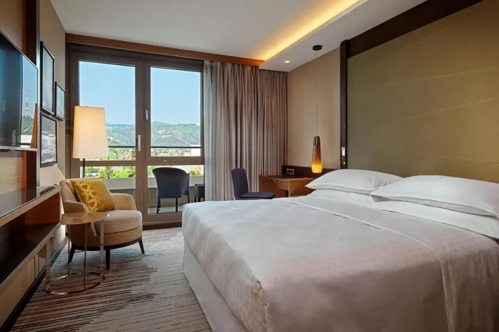 Sheraton Grand Tbilisi Metechi Palace Hotel - photo 5