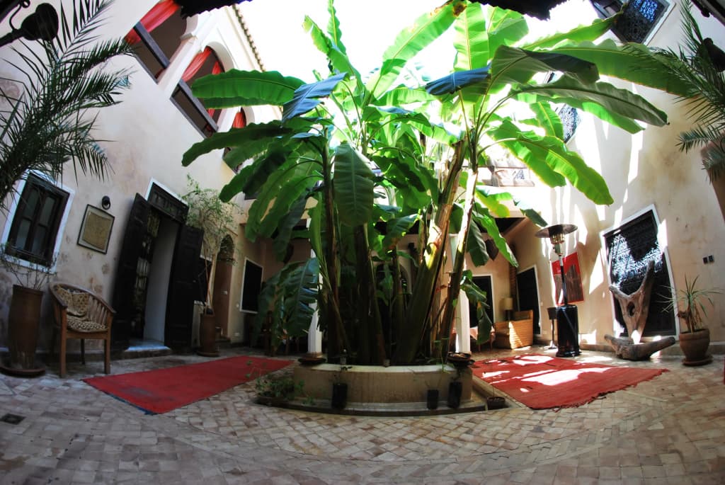Riad Bamileke Guest House - photo 4