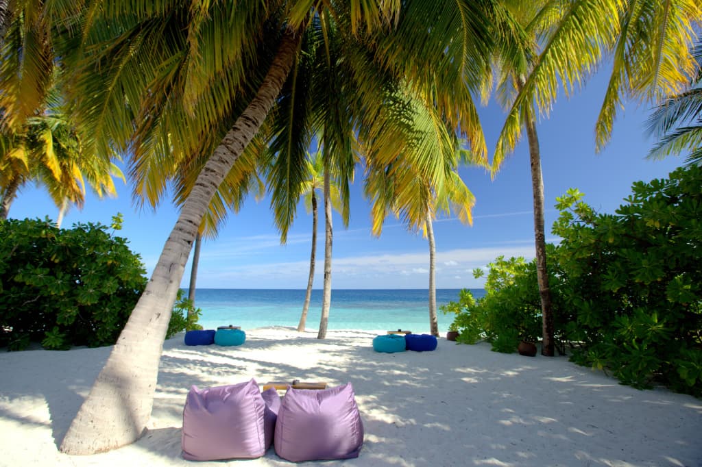 V Villas Maldives at Mirihi - MGallery Collection Resort Hotel - photo 19