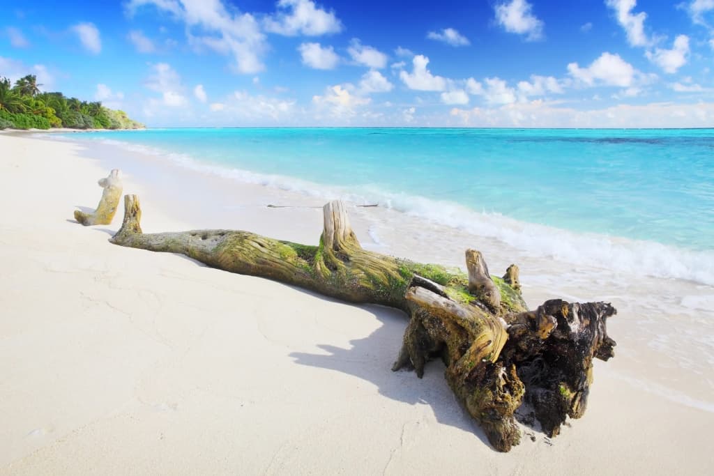 Holiday Grand Maldives Guest House - photo 11