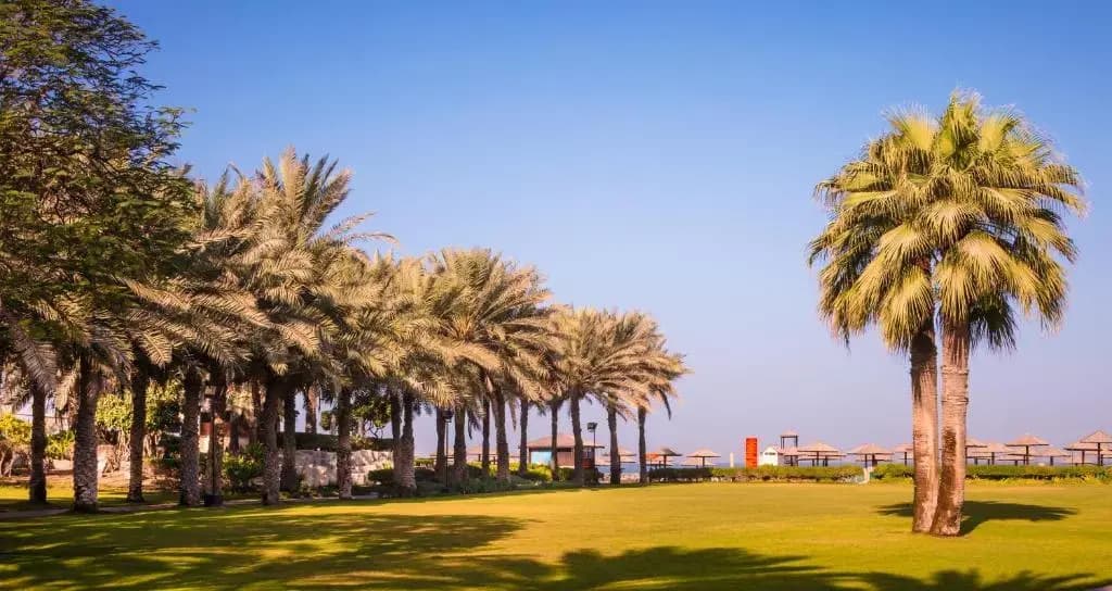 Coral Beach Resort Sharjah Hotel - photo 20