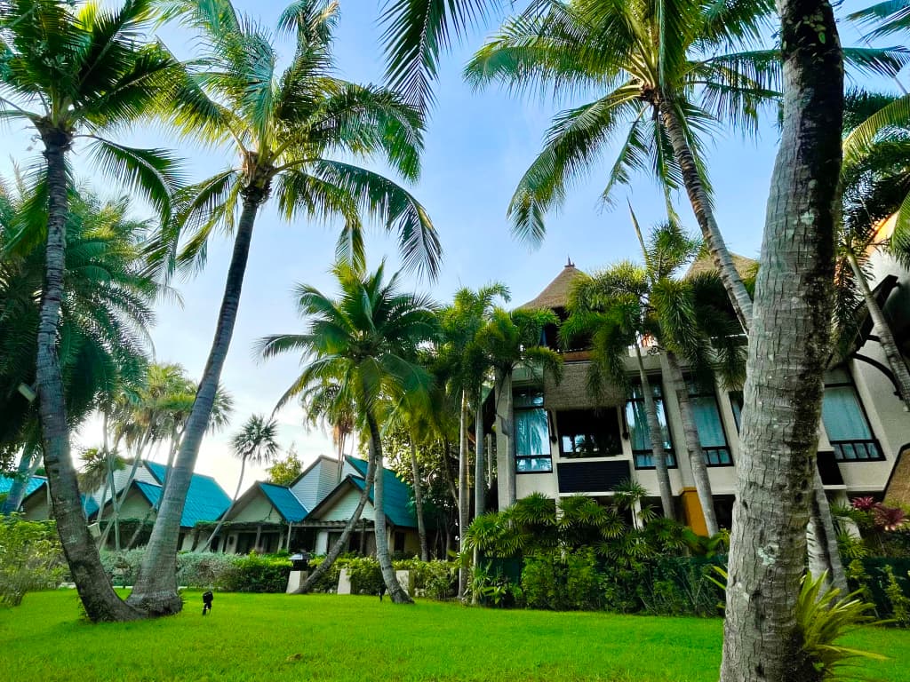 Paradox Resort Phuket - photo 23