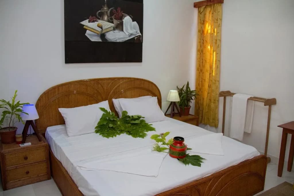 Alvi Star Inn Guest house - photo 27