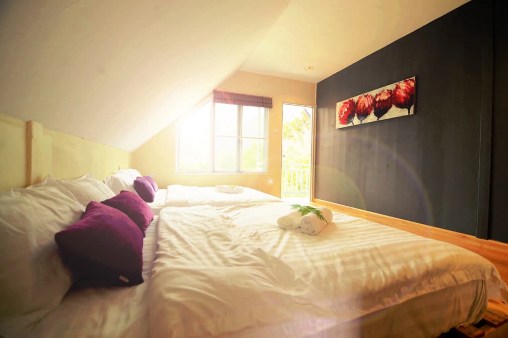 T Paradise Guest House - photo 7