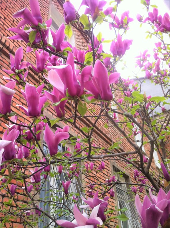 Granat Garden Aprtments - photo 2