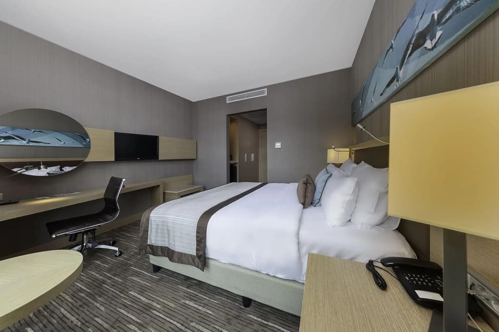 Park Dedeman Bostanci Hotel - photo 13
