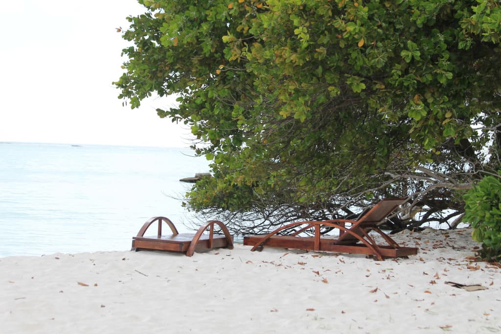 Holiday Mathiveri Inn Guest House - photo 19