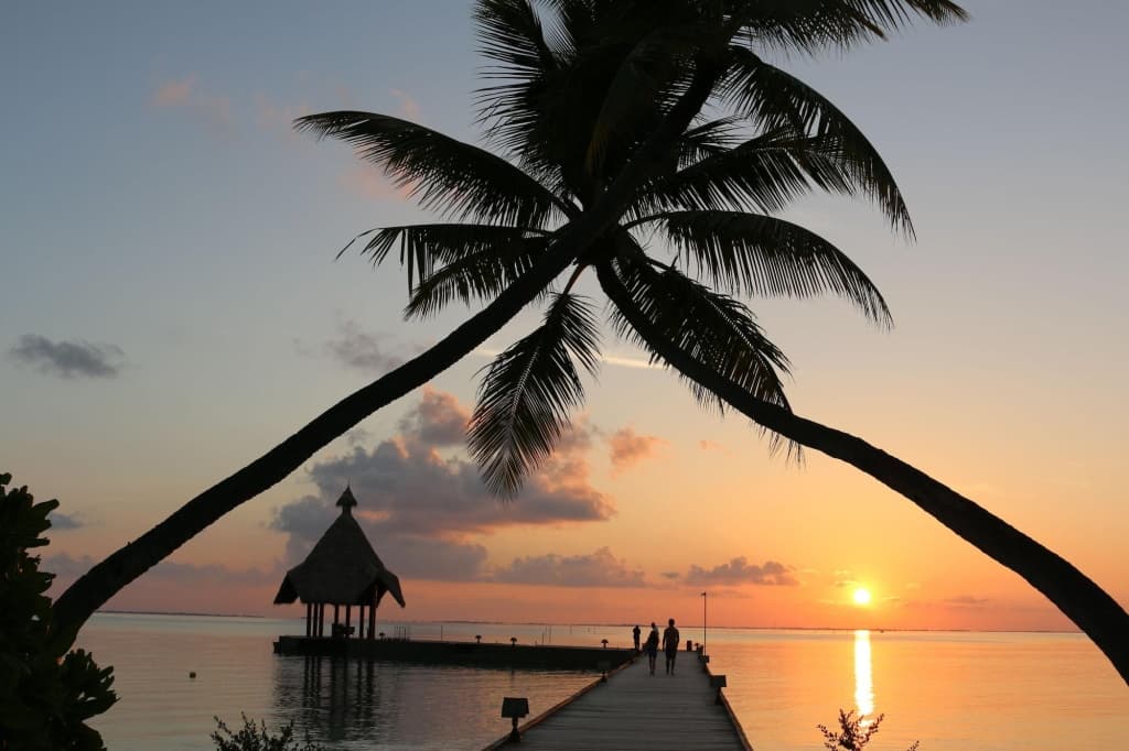 Canareef Resort Maldives - photo 2